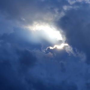 Meet your Posher, Tala